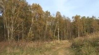 Families Unite in the Wild: Russian Group Incest in Nature