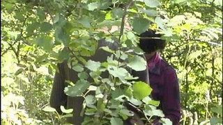 The son in nature brings the mother to a powerful orgasm